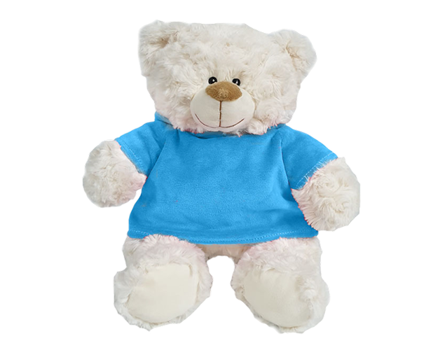 Cream Bear with Blue Velour Hoodie