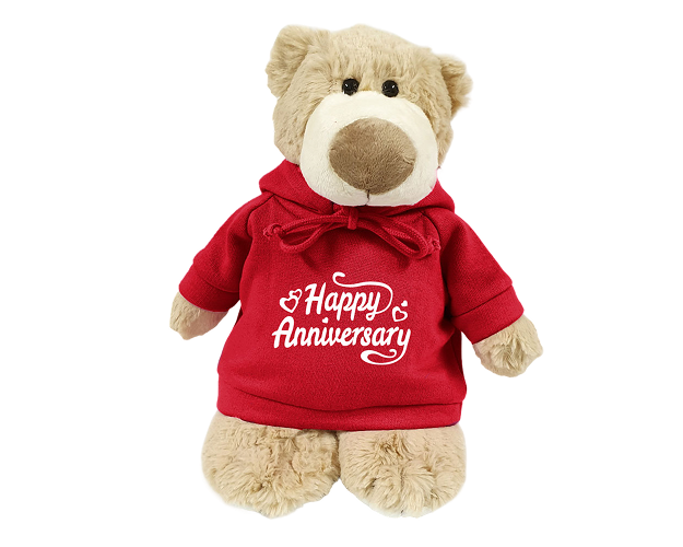 Mascot Bear with Printed Hoodie