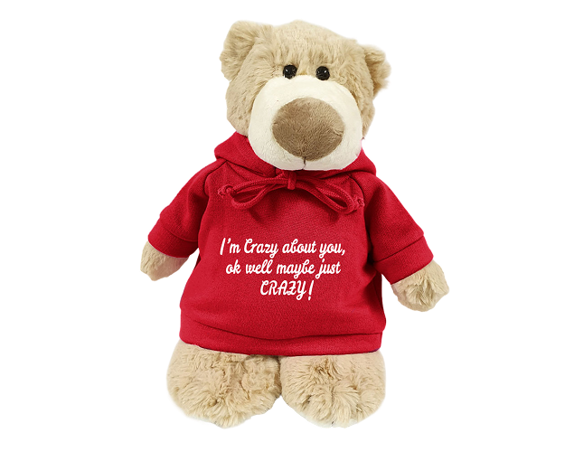 Mascot Bear with Printed Hoodie (Copy)