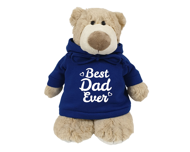 Mascot Bear with Printed Hoodie