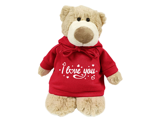 Mascot Bear with Printed Hoodie