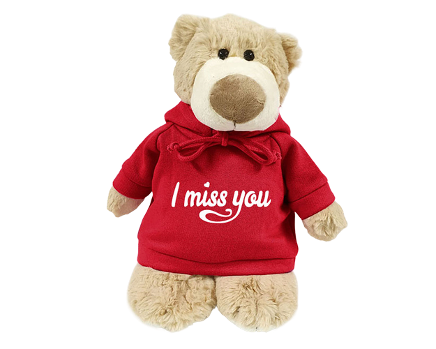 Mascot Bear with Printed Hoodie