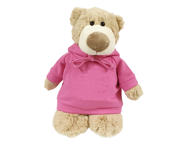 Mascot Bear with Plain Hoodie