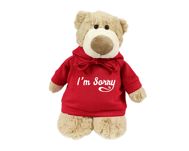Mascot Bear with Red Hoodie
