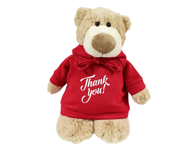 Mascot Bear with Printed Hoodie