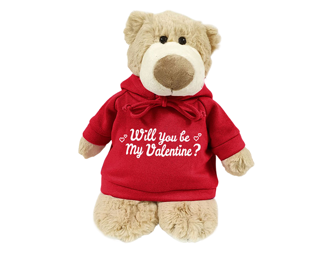 Mascot Bear with Printed Hoodie