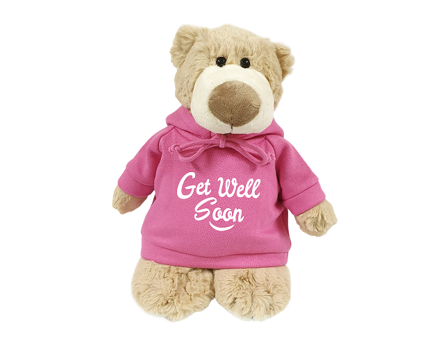 Mascot Bear with Blue Hoodie